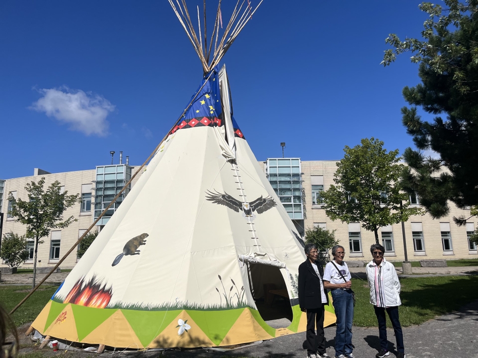 SLC tipi